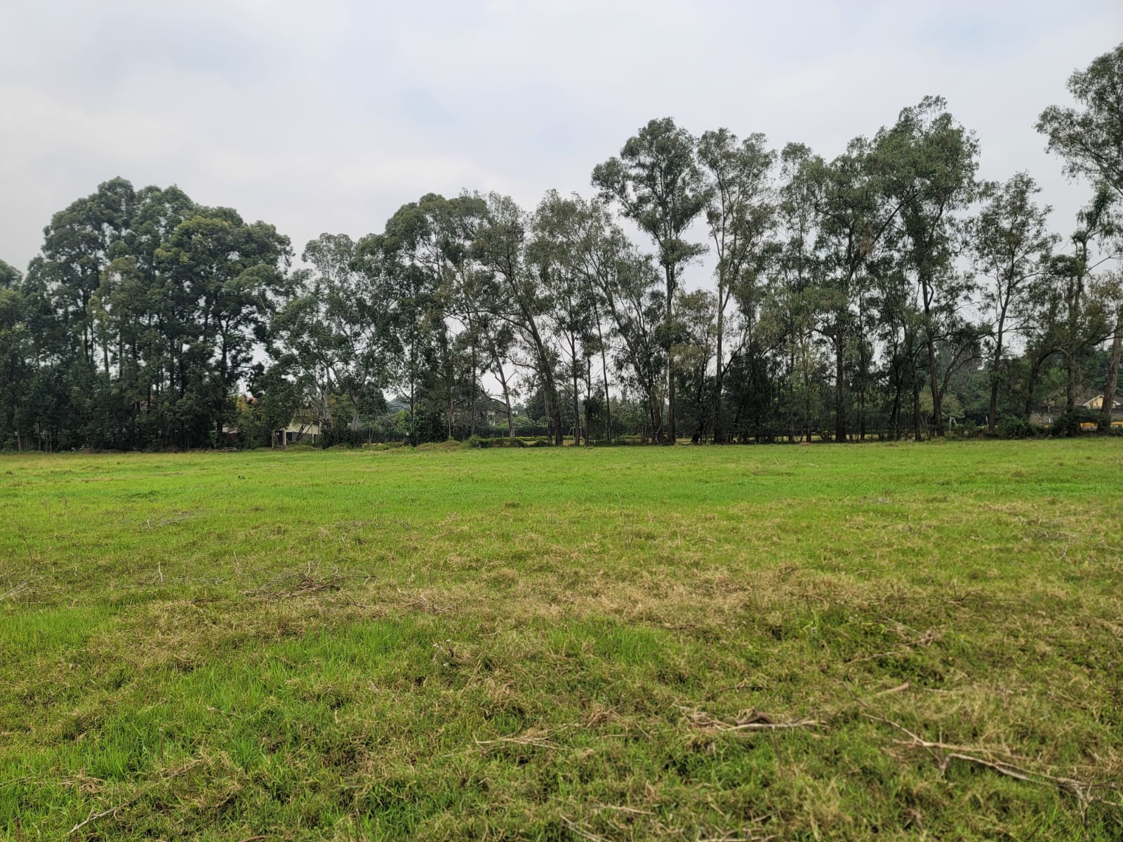 image-location