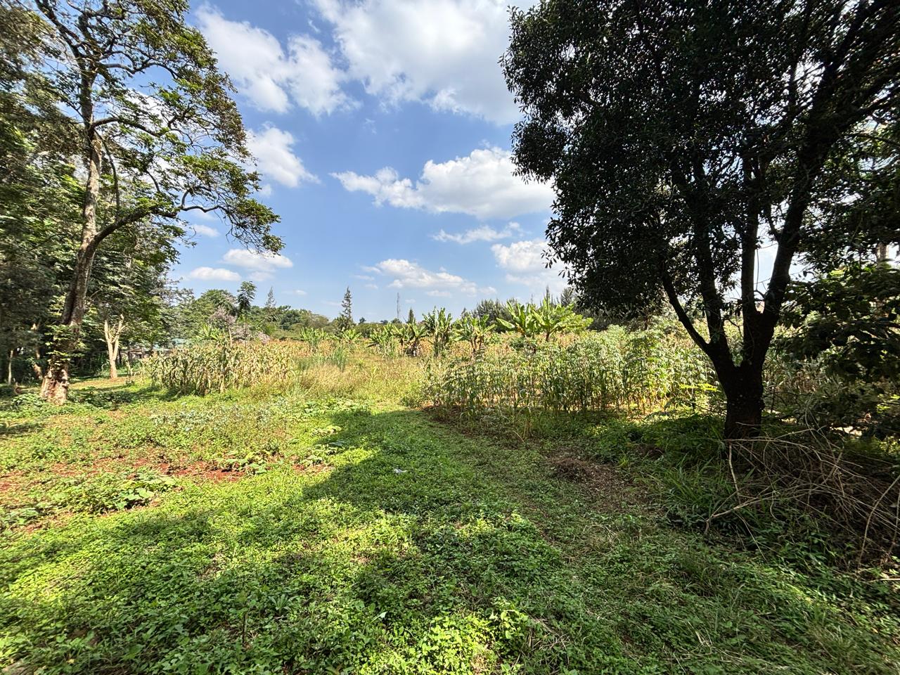 image-location