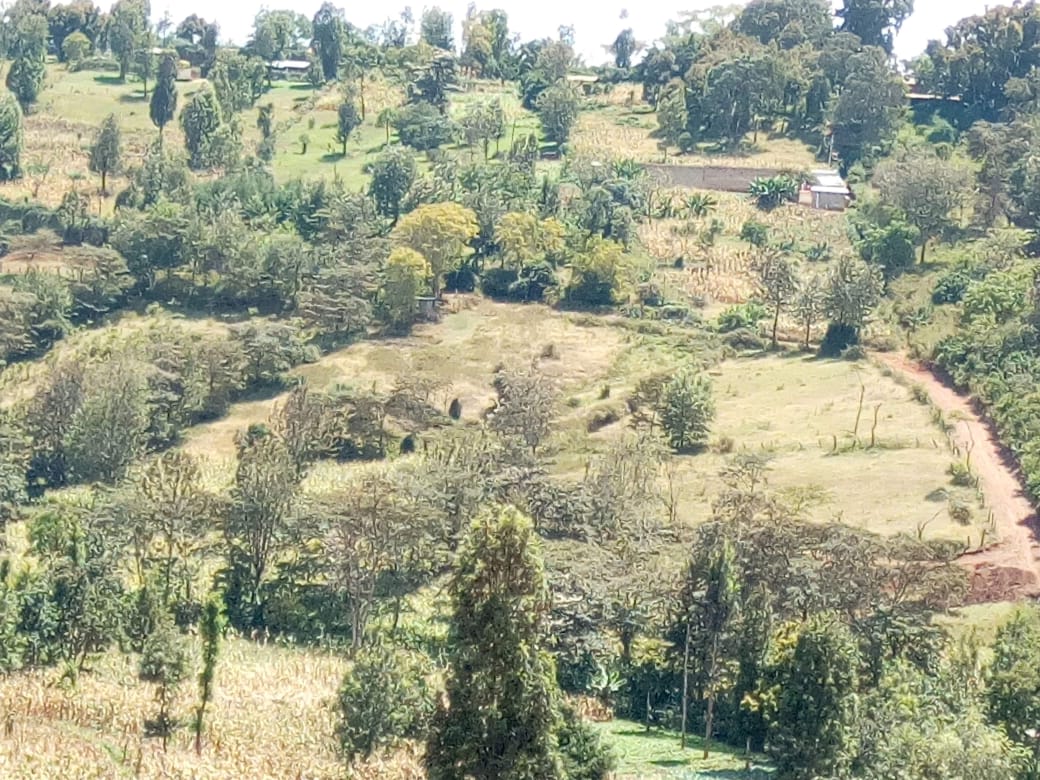 image-location